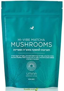 תערובת למשקה מאצ'ה פטריות  HI-VIBE MATCHA MUSHROOMS 1