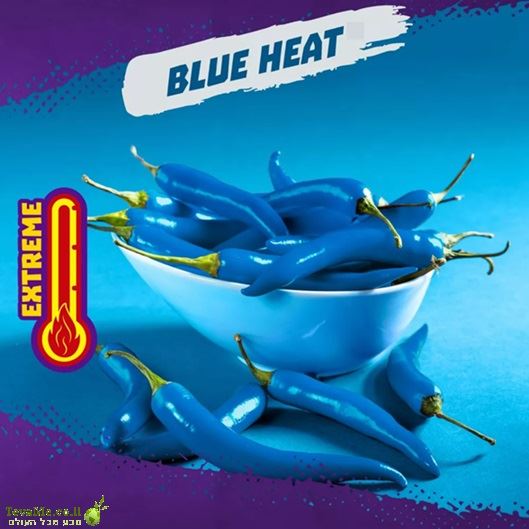 חטיף טאקיס בלו היט גרםTakis Blue Heat Big Size 280