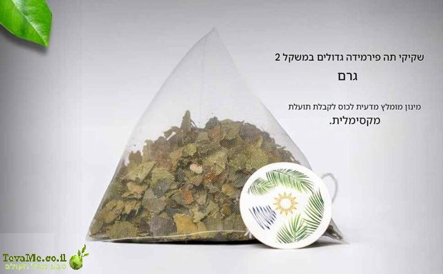 תה גויאבנו עם היביסקוס Guyabano Tea with Roselle