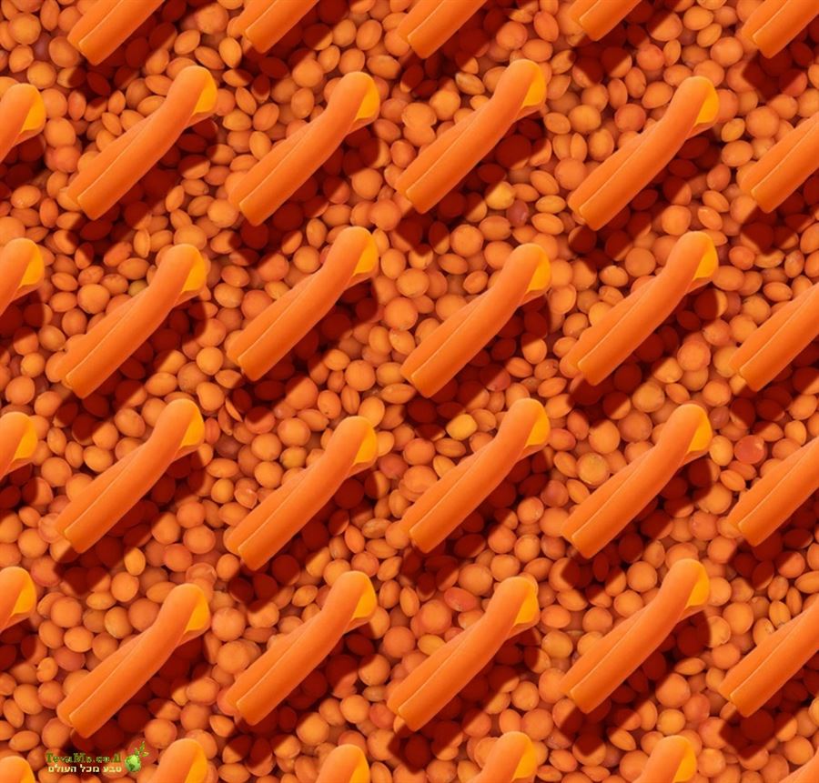 LEN5