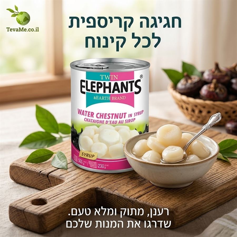 ערמוני מים בסירופ Water Chestnut In Syrup