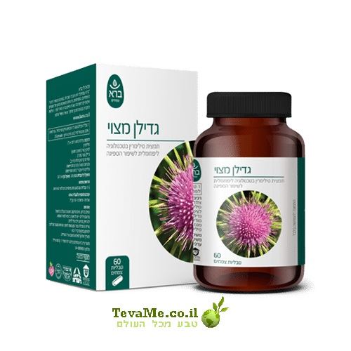 כמוסות גדילן מצוי Silybum Marianum ברא צמחים