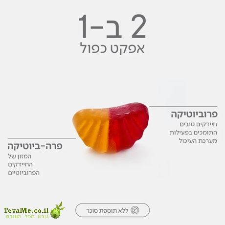 GumBiotic גאמיס פרוביוטיקה + פרה-ביוטיקה ביומיינד Biomind