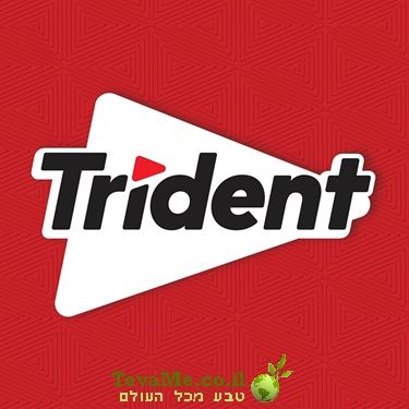 מסטיק טריידנט קינמון ללא סוכר 28 י'ח Trident Cinnamon Chewing Gum