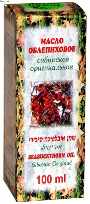 שמן אובלפיכה סיבירי