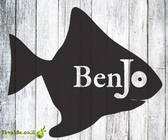 סיר אידוי חשמלי אורז וירקות BenJo Electric Rice Cooker