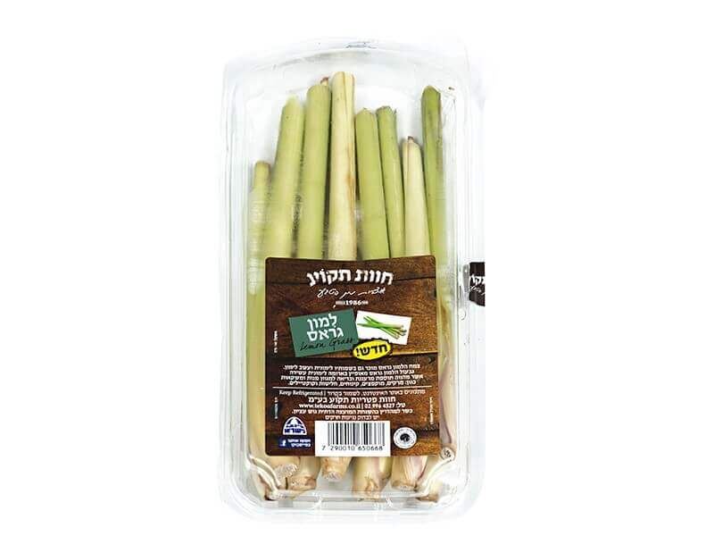 למון גראס טרי