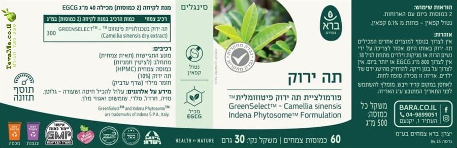 כמוסות תה ירוק פיטוזום GreenSelect Camelia sinensis ברא צמחים