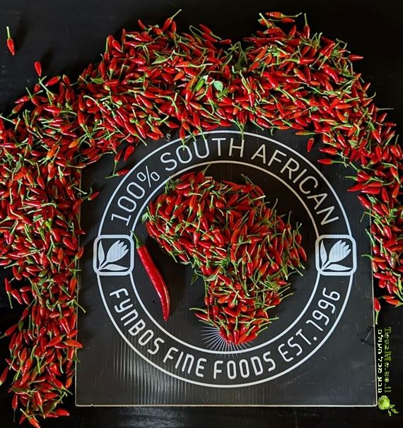 ריבת צ׳ילי עם ג׳ינג׳ר FYNBOS Jam Chilli with Ginger