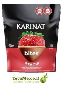 גלידת קארינט תות שדה KARINAT Frozen Raspberry Chocolate Bites tevame