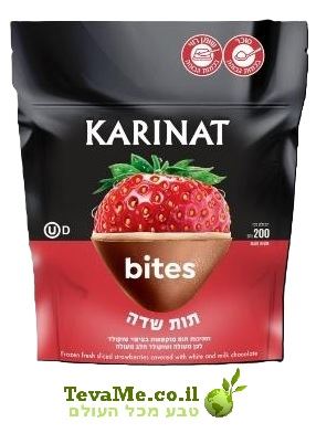 גלידת קארינט תות שדה KARINAT Frozen Raspberry Chocolate Bites