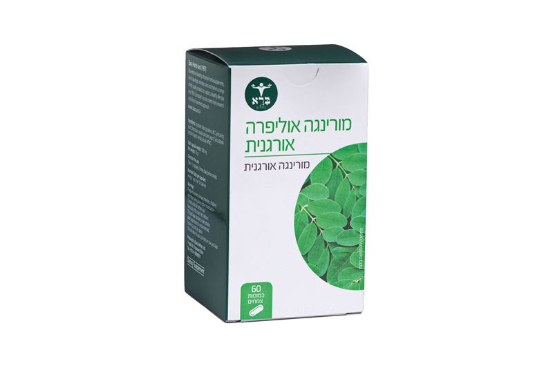 מורינגה