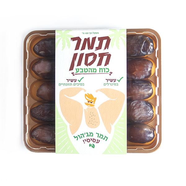 תמר מג'הול לח- תמר חסון