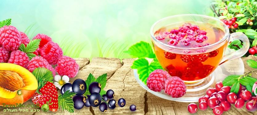 חליטת תה טבעית זנגביל (ג'ינג'ר) ללא קפאין 25 שקיקים Malwa