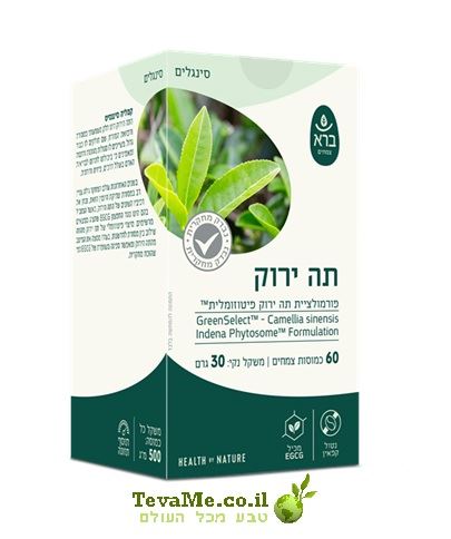 כמוסות תה ירוק פיטוזום GreenSelect Camelia sinensis ברא צמחים