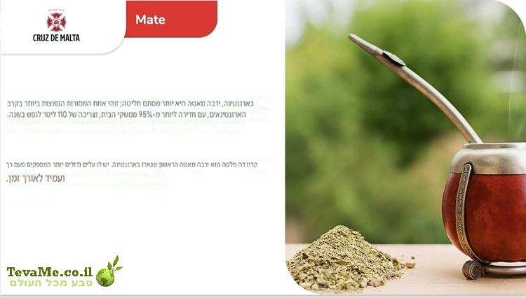 ג'רבה מאטה קרוז דה מלטה עלים גדולים Cruz de Malta Yerba Mate