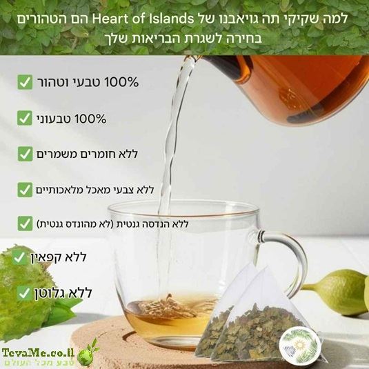 תה גויאבנו עם היביסקוס Guyabano Tea with Roselle