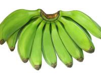 בננות ירוקות - Platano