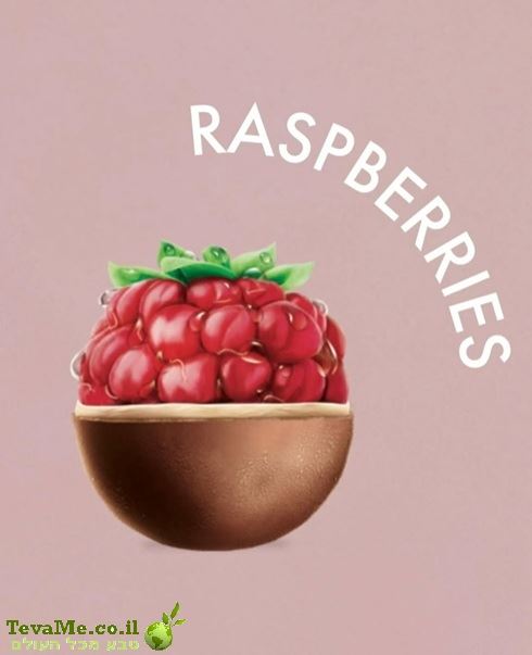גלידת קארינט פטל אדום KARINAT Frozen Raspberry Chocolate Bites