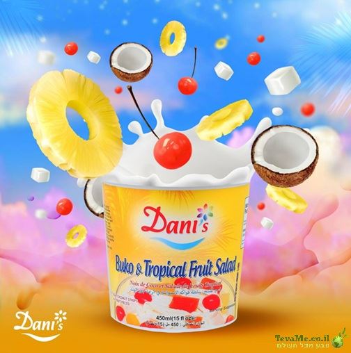 גלידת קוקוס עם פירות טרופיים Dani's Buko & Tropical Fruit Salad Frozen Desserts
