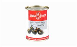 ערמוני מים tevame