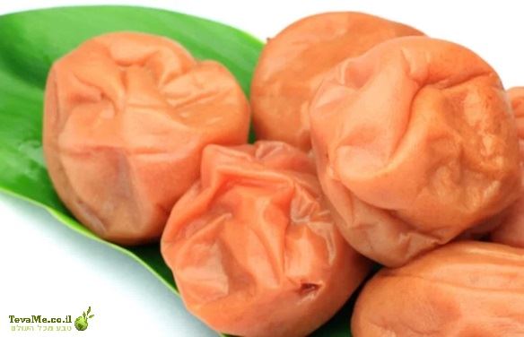 אומבושי לבן אורגני Muso Organic White Umeboshi