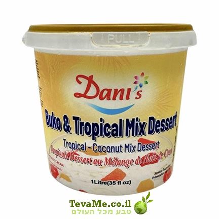גלידת קוקוס עם פירות טרופיים Dani's Buko & Tropical Fruit Salad Frozen Desserts