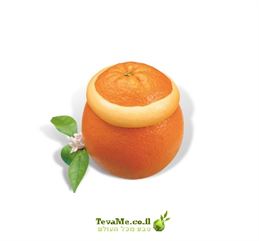קינוח גלידה בטעם תפוז בתוך קליפת תפוז Orange Ice cream in an Orange Peel tevame