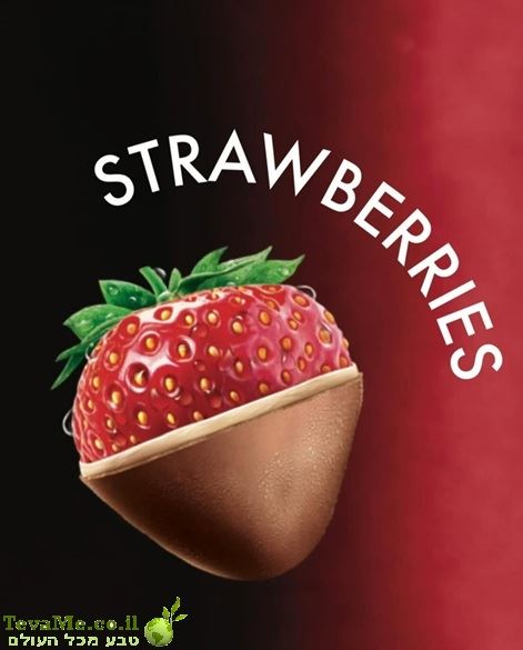 גלידת קארינט תות שדה KARINAT Frozen Raspberry Chocolate Bites